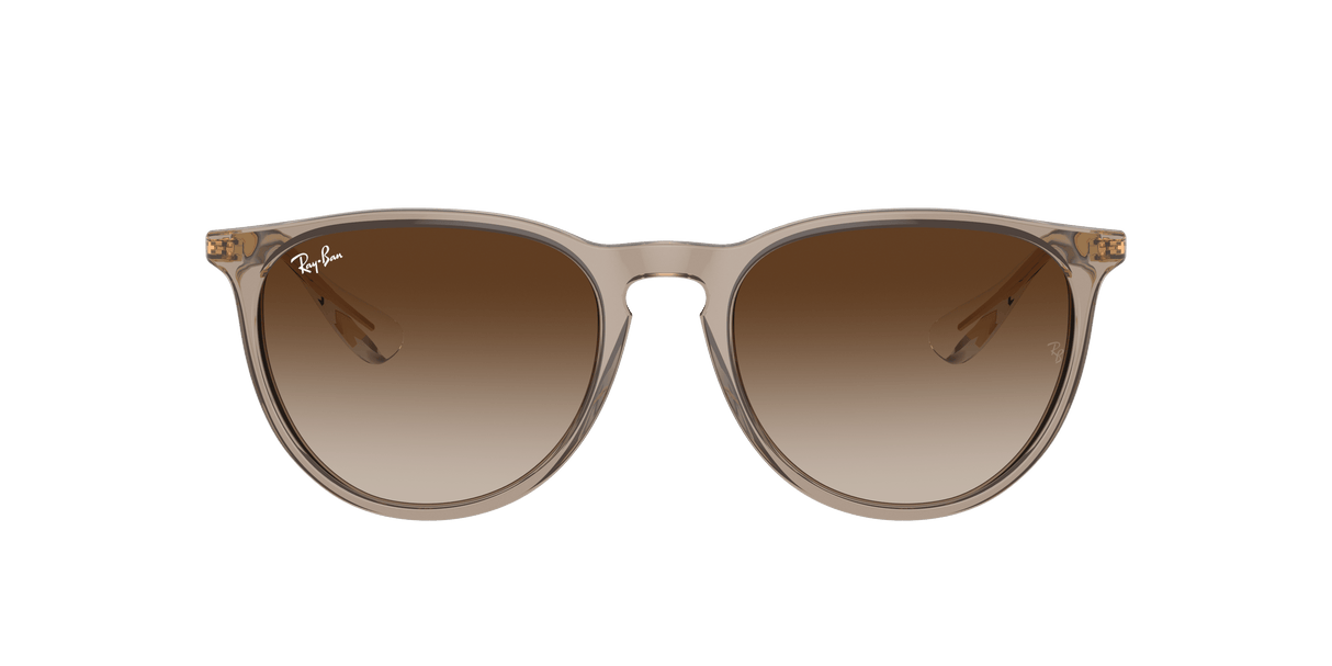 RAY-BAN Erika Classic Polished Transparent Light Brown - Brown Sunglasses Sunglasses Ray-Ban