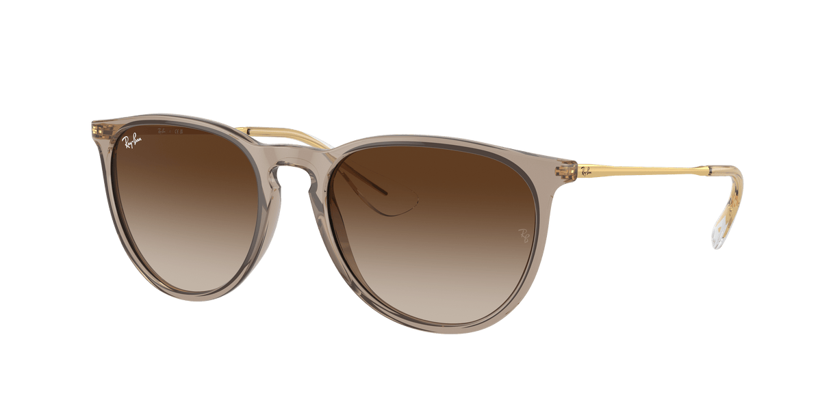RAY-BAN Erika Classic Polished Transparent Light Brown - Brown Sunglasses Sunglasses Ray-Ban