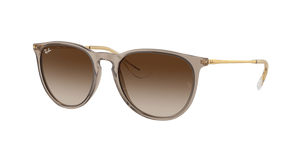 RAY-BAN Erika Classic Polished Transparent Light Brown - Brown Sunglasses Sunglasses Ray-Ban 