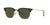 RAY-BAN New Clubmaster Polished Black On Arista Gold - Green Sunglasses