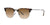 RAY-BAN New Clubmaster Polished Havana - Brown Sunglasses