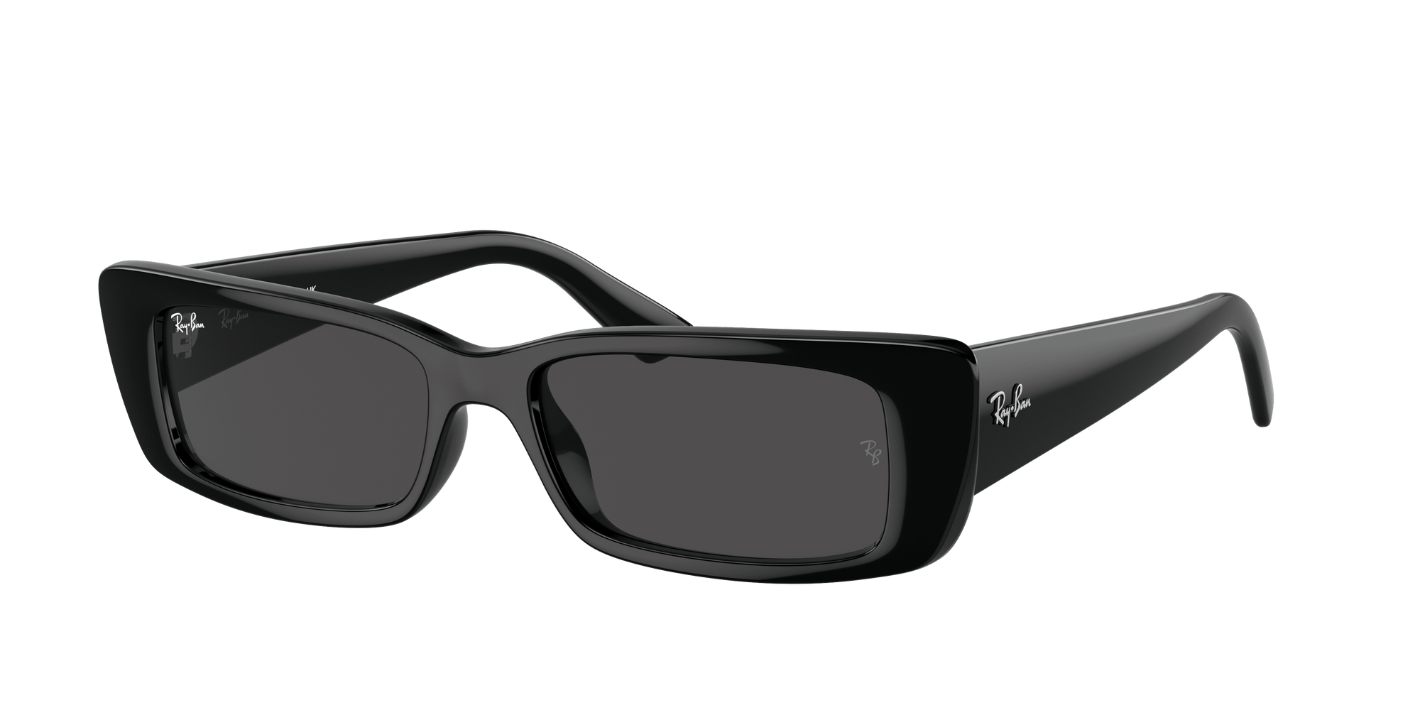 RAY-BAN Teru Polished Black - Dark Grey Sunglasses