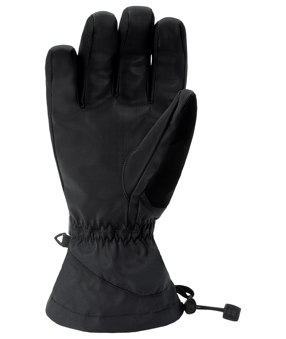 DAKINE Eclipse GORE-TEX Snow Gloves Black Men's Snow Gloves Dakine