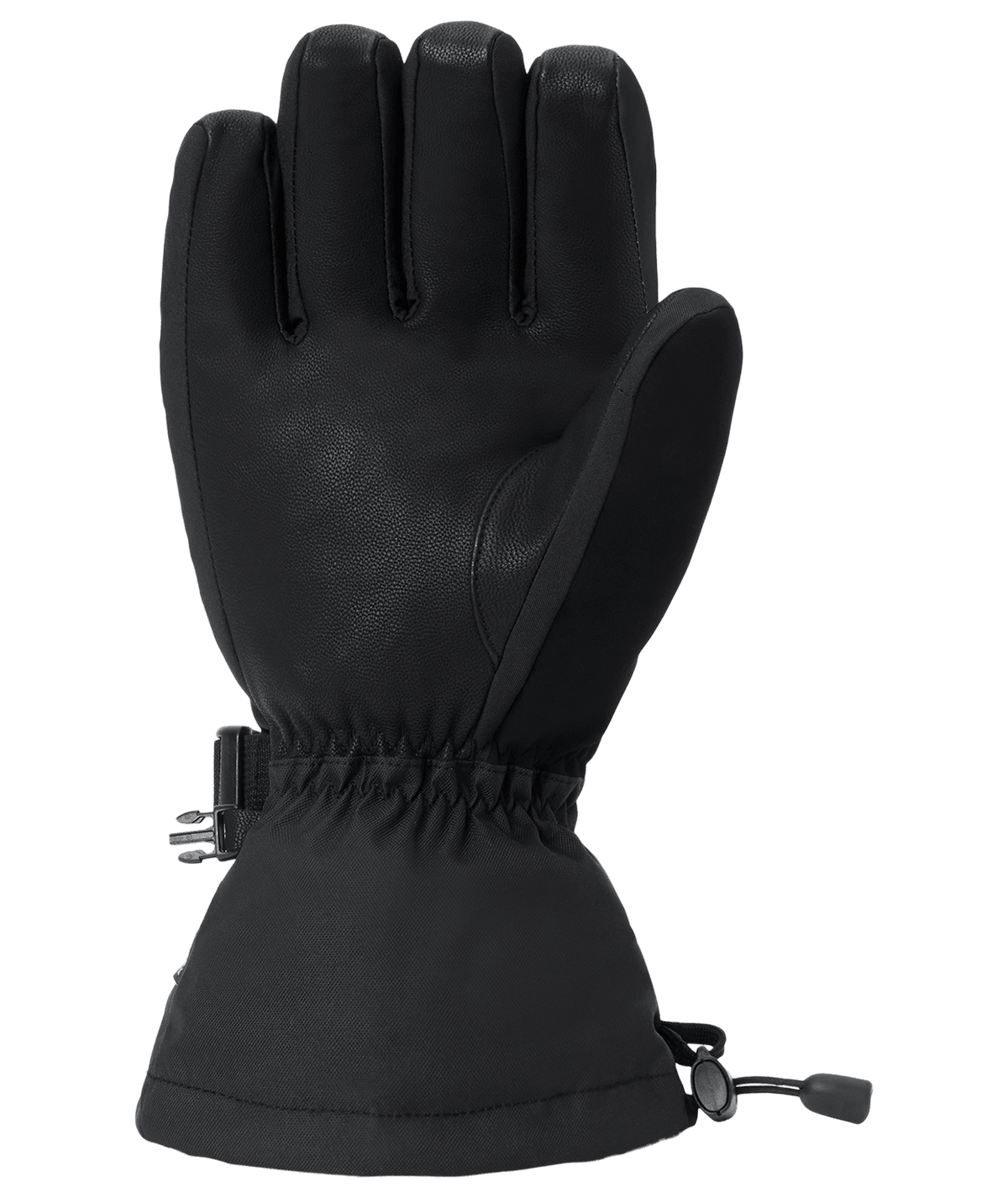 DAKINE Titan 2.0 Leather DLX GORE-TEX Gloves Black Men's Snow Gloves Dakine