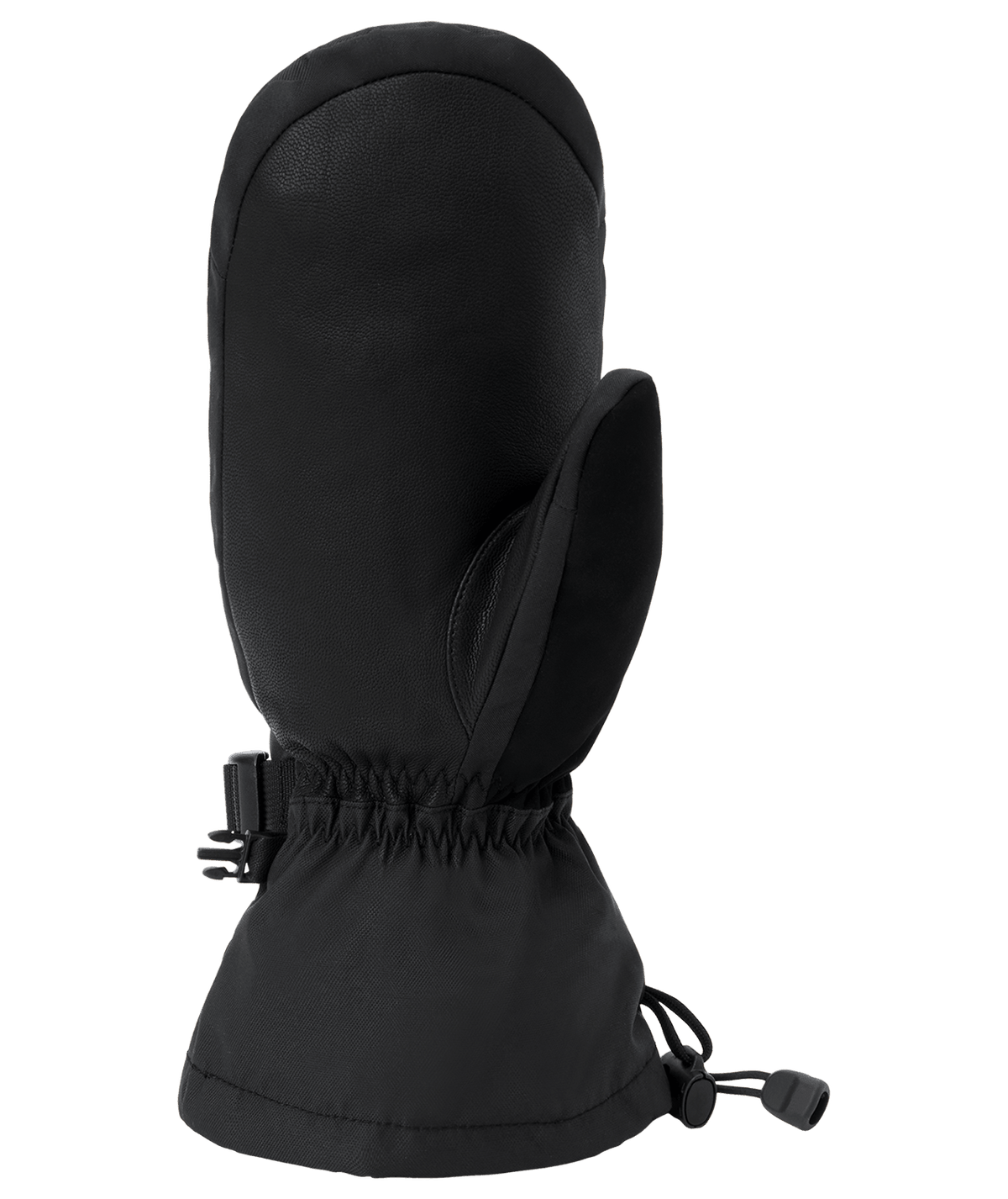 DAKINE Titan 2.0 Leather DLX GORE-TEX Mitt Black Men's Snow Mitts Dakine