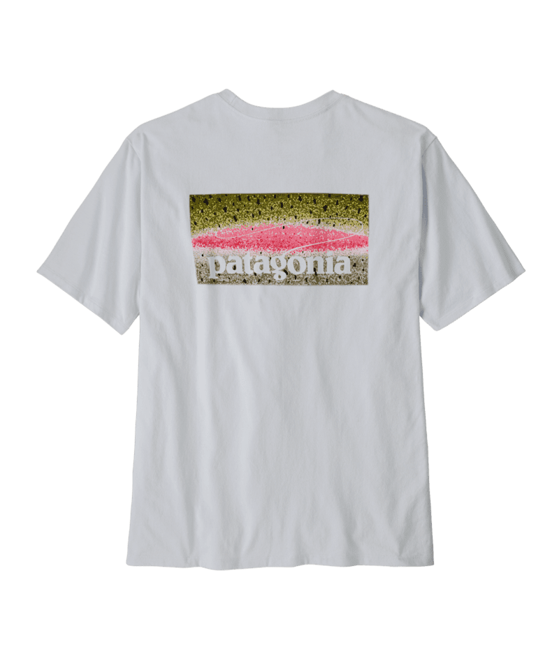 PATAGONIA Take a Stand Responsibili-Tee T-Shirt Rainbow Run/White Men's Short Sleeve T-Shirts Patagonia