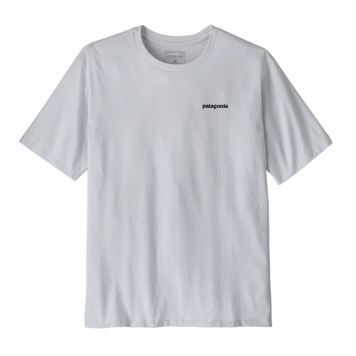 PATAGONIA Take a Stand Responsibili-Tee T-Shirt Rainbow Run/White Men's Short Sleeve T-Shirts Patagonia