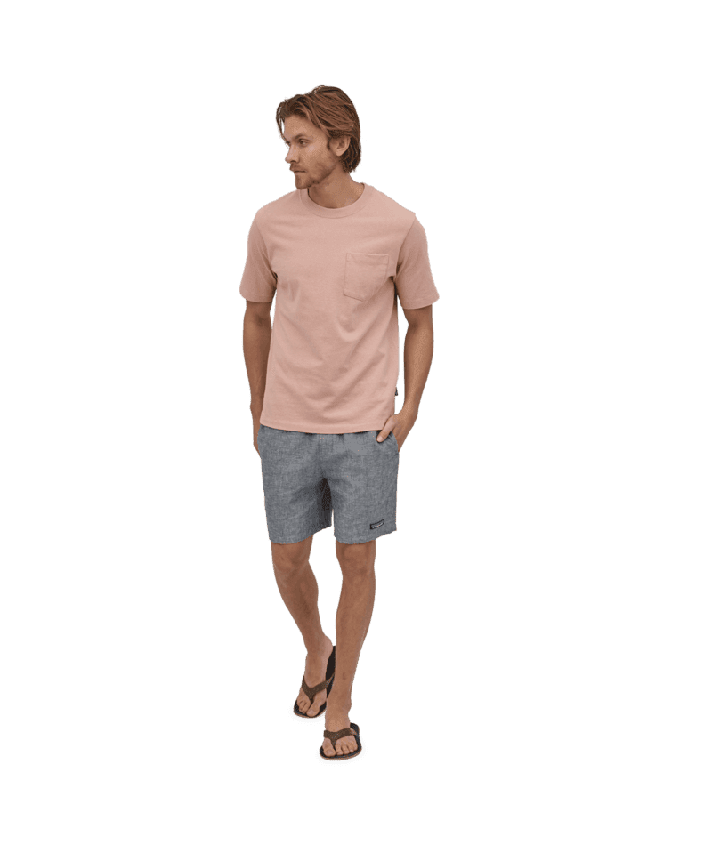 PATAGONIA Baggies Naturals Shorts Chambray/New Navy Men's Walkshorts Patagonia