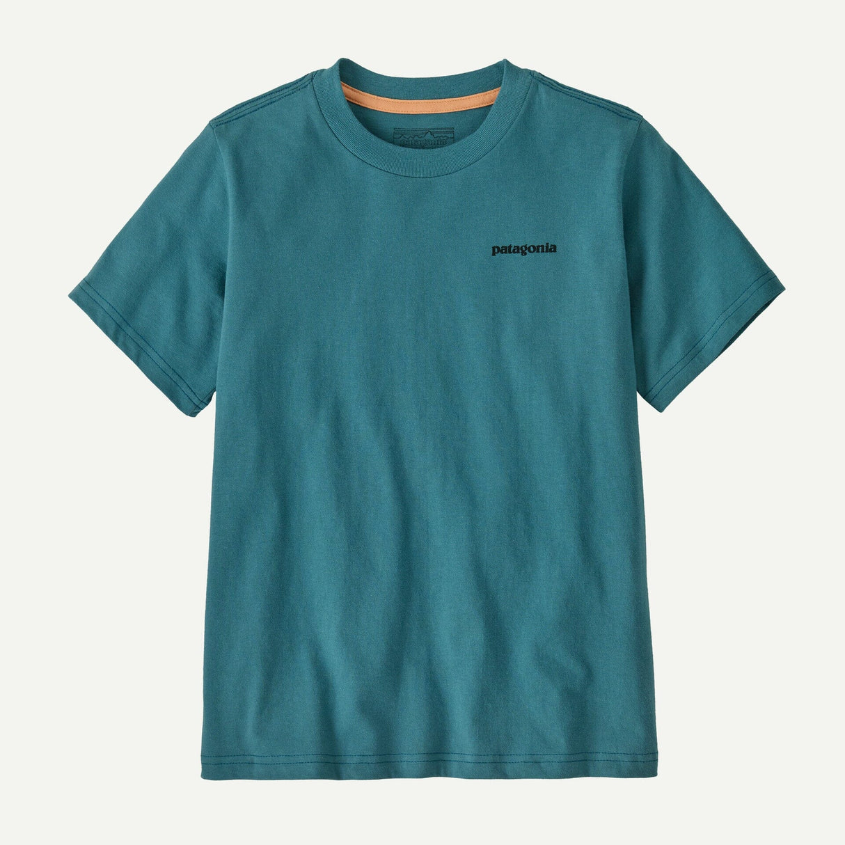PATAGONIA Kid's Graphic T-Shirt Wetland Blue Men's Short Sleeve T-Shirts Patagonia