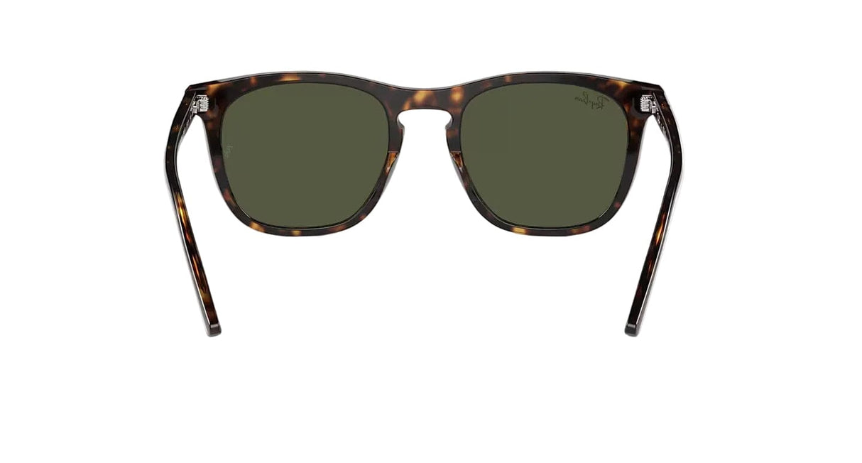 RAY-BAN RB2210 Polished Havana - Green Sunglasses Freeride Boardshop