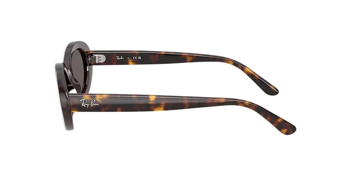 RAY-BAN RB2223 Polished Havana - Dark Grey Sunglasses Sunglasses Ray-Ban