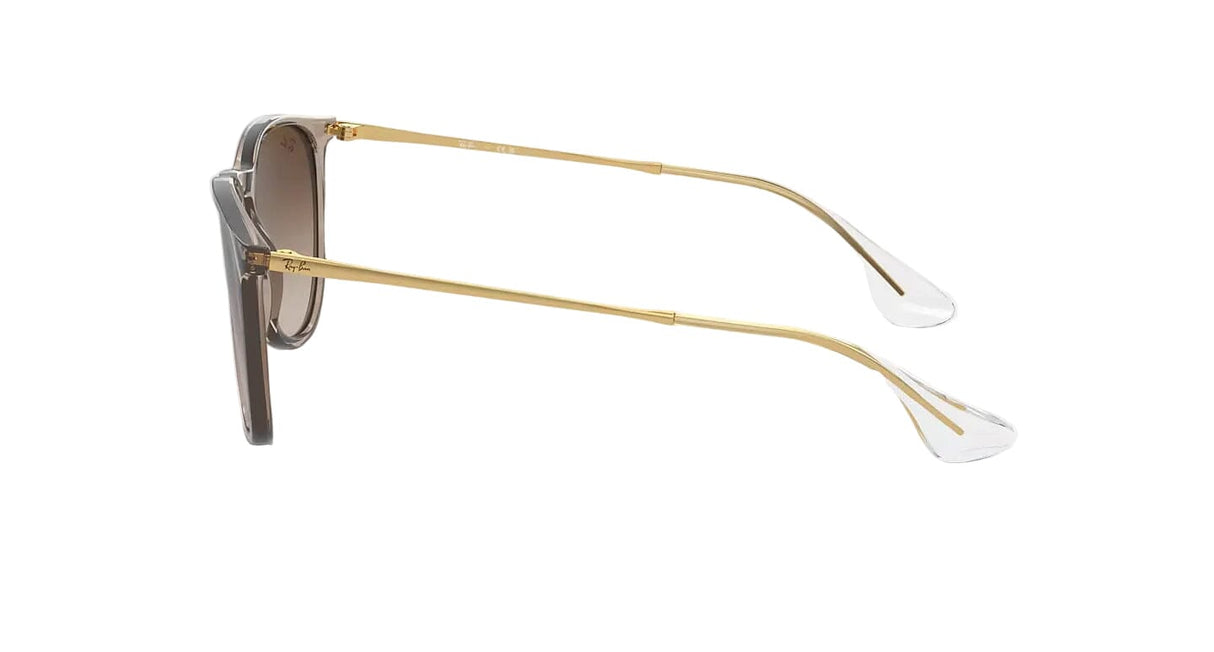 RAY-BAN Erika Classic Transparent Light Brown - Brown Gradient Sunglasses Sunglasses Ray-Ban
