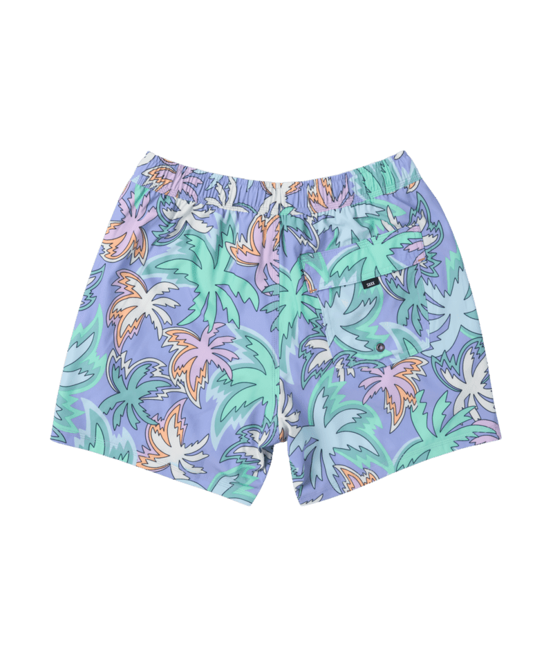 SAXX Oh Buoy 2N1 5" Volley Boardshorts Xanadu/Lavender Men's Boardshorts Saxx