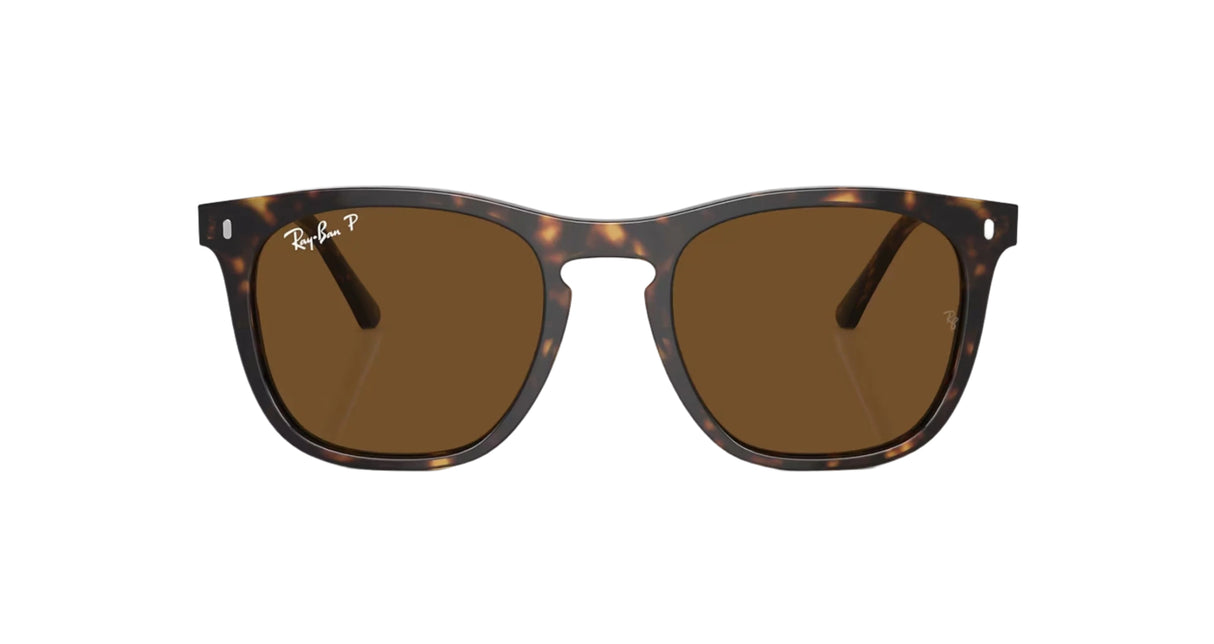 RAY-BAN RB2210 Polished Havana - Brown Polarized Sunglasses Sunglasses Ray-Ban