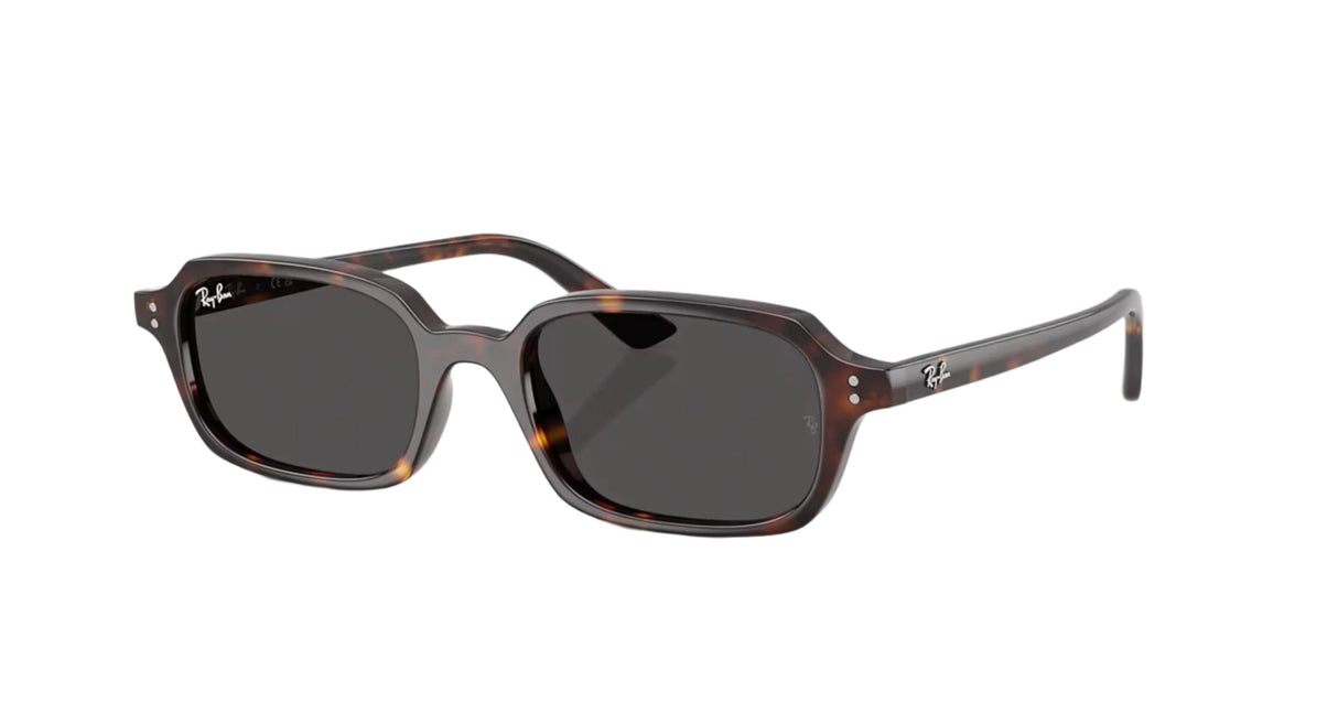 RAY-BAN Zuri Polished Havana - Dark Grey Sunglasses Sunglasses Ray-Ban