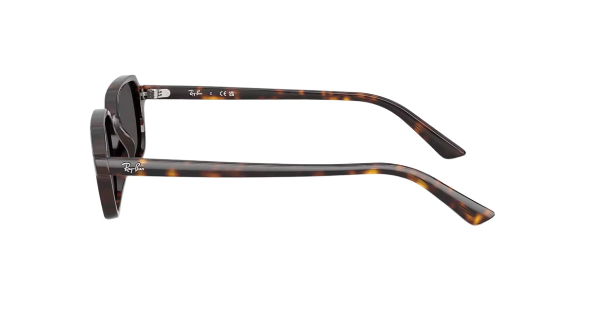 RAY-BAN Zuri Polished Havana - Dark Grey Sunglasses Sunglasses Ray-Ban