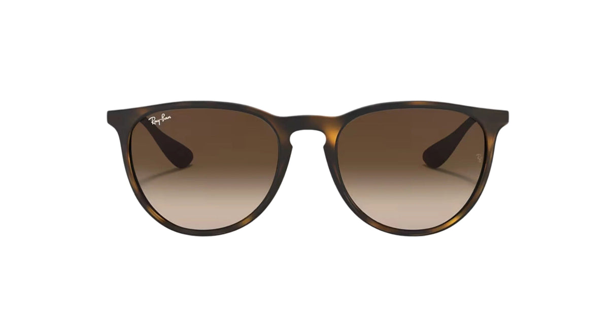 RAY-BAN Erika Matte Havana - Brown Sunglasses Sunglasses Ray-Ban