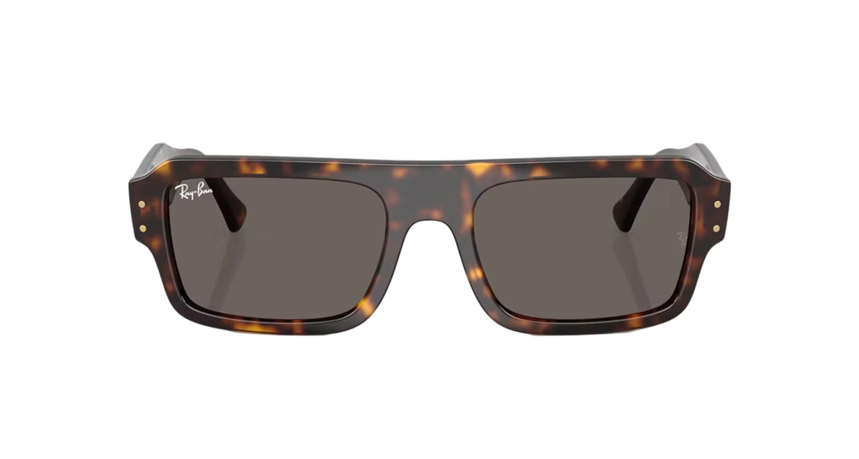 RAY-BAN Lukas Polished Havana - Dark Grey Sunglasses Sunglasses Ray-Ban