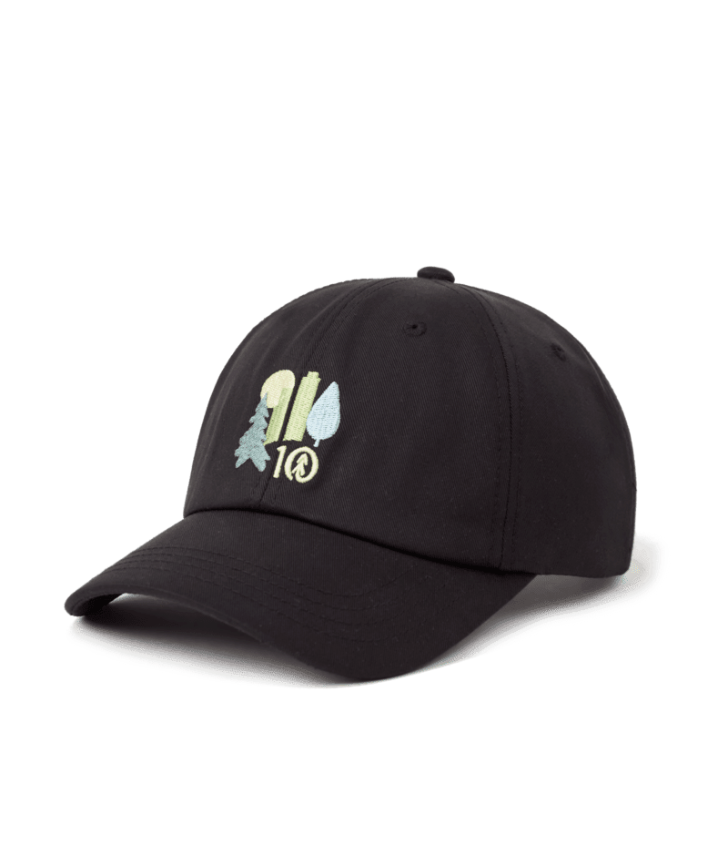 TENTREE Urban Abstract Peak Hat Meteorite Black/Gulf Stream Men's Hats Tentree