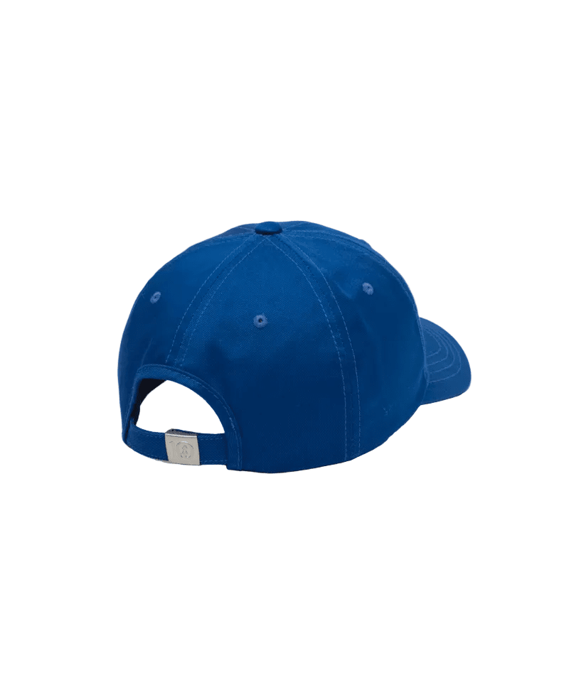 TENTREE Daisy Embroidery Peak Hat Nightfall/Turquois Sky Women's Hats Tentree