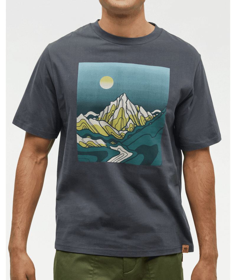TENTREE Emerald Edge Relaxed T-Shirt Graphite/Bistro Green Men's Short Sleeve T-Shirts Tentree