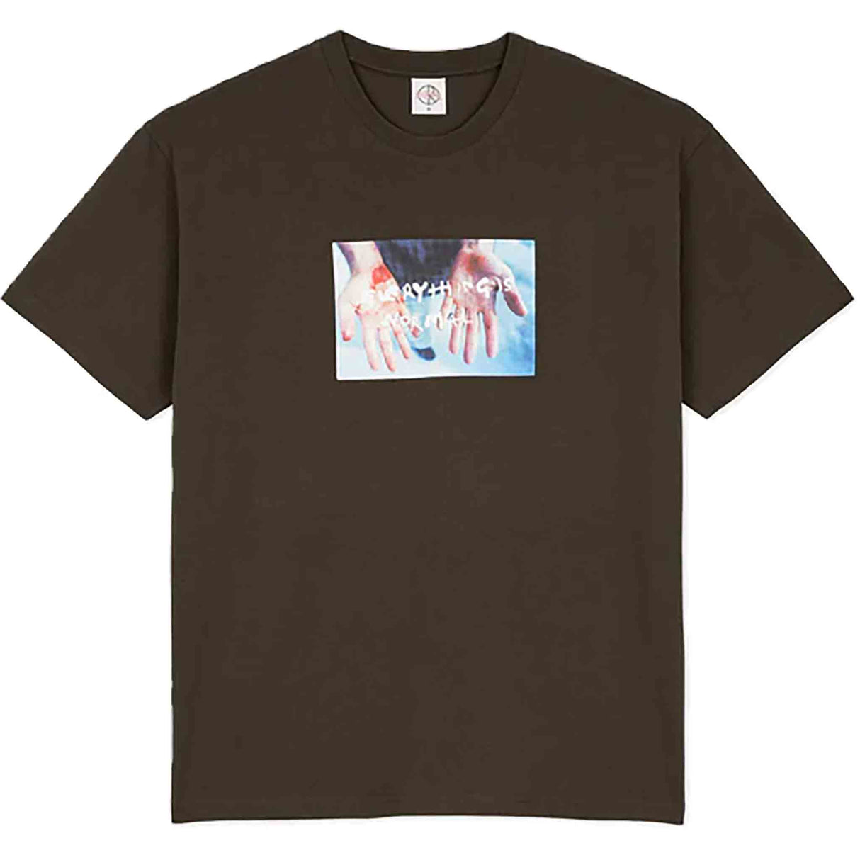 POLAR Commitment T-Shirt Brown Men's Short Sleeve T-Shirts Polar