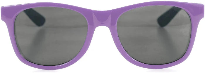 VANS Spicoli 4 Shades Sunglasses Purple Haze Sunglasses Vans