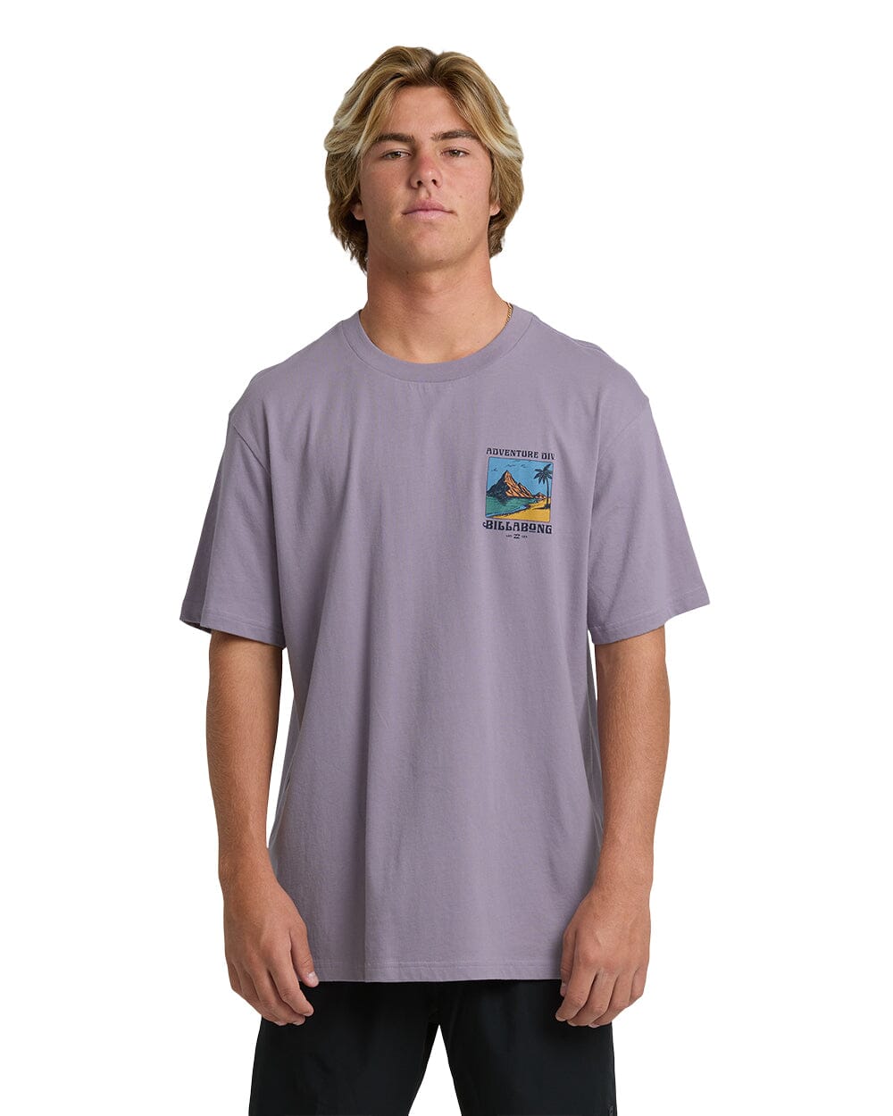 BILLABONG Post Cards A/DIV T-Shirt Purple Ash Men's Short Sleeve T-Shirts Billabong
