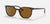 RAY-BAN Elliot Havana - Brown Classic Sunglasses Sunglasses Ray-Ban 