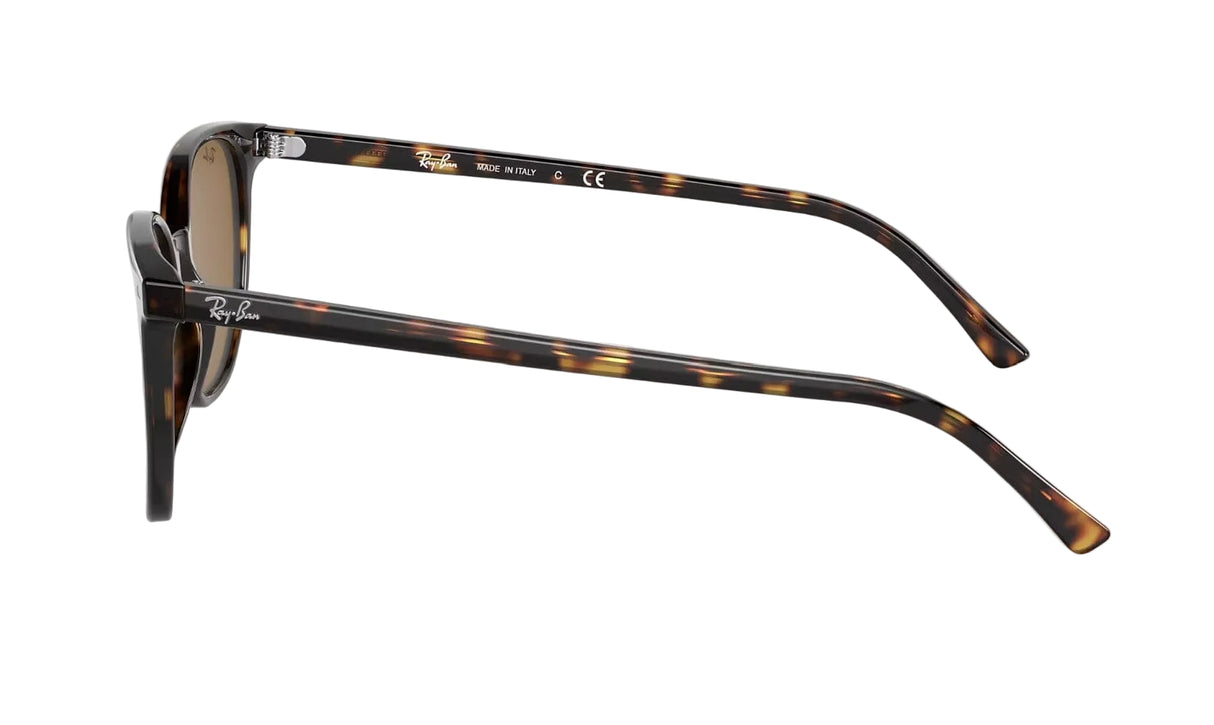 RAY-BAN Elliot Havana - Brown Classic Sunglasses Sunglasses Ray-Ban