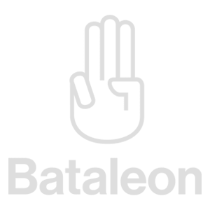 Bataleon Snowboards