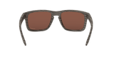 OAKLEY Holbrook Woodgrain - Prizm Deep Water Polarized Sunglasses Sunglasses Oakley 