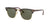 RAY-BAN Clubmaster Red Havana - Green Classic G-15 Polarized Sunglasses Sunglasses Ray-Ban 