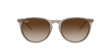 RAY-BAN Erika Classic Polished Transparent Light Brown - Brown Sunglasses Sunglasses Ray-Ban 