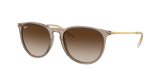 RAY-BAN Erika Classic Polished Transparent Light Brown - Brown Sunglasses Sunglasses Ray-Ban 
