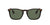 RAY-BAN Chris Polished Light Havana - Green Classic Sunglasses Sunglasses Ray-Ban 