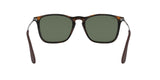 RAY-BAN Chris Polished Light Havana - Green Classic Sunglasses Sunglasses Ray-Ban 
