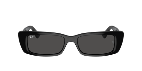 RAY-BAN Teru Polished Black - Dark Grey Sunglasses Sunglasses Ray-Ban 