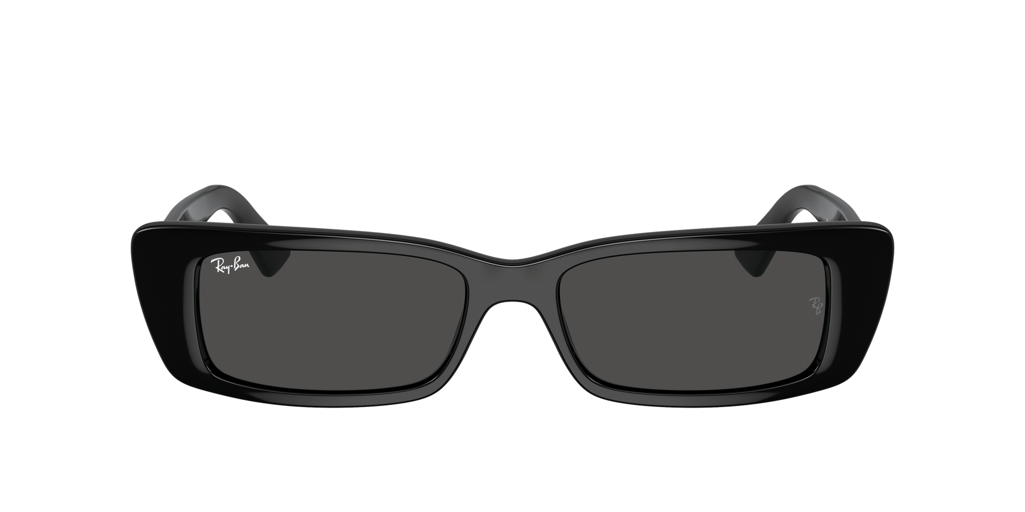 RAY-BAN Teru Polished Black - Dark Grey Sunglasses Sunglasses Ray-Ban 