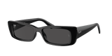 RAY-BAN Teru Polished Black - Dark Grey Sunglasses Sunglasses Ray-Ban 
