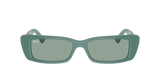 RAY-BAN Teru Polished Algae Green - Petrol Green Sunglasses Sunglasses Ray-Ban 