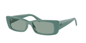 RAY-BAN Teru Polished Algae Green - Petrol Green Sunglasses Sunglasses Ray-Ban 