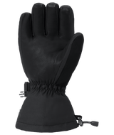 DAKINE Titan 2.0 Leather DLX GORE-TEX Gloves Black Men's Snow Gloves Dakine 