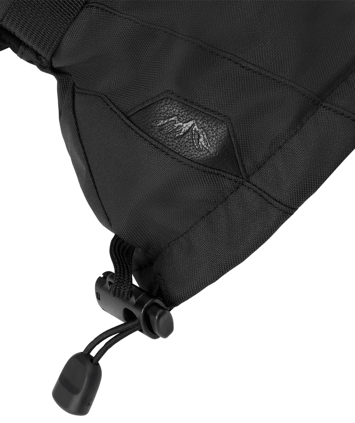 DAKINE Titan 2.0 Leather DLX GORE-TEX Gloves Black Men's Snow Gloves Dakine 