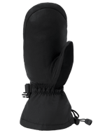 DAKINE Titan 2.0 Leather DLX GORE-TEX Mitt Black Men's Snow Mitts Dakine 