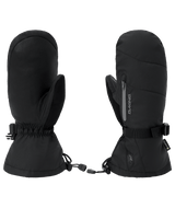 DAKINE Titan 2.0 Leather DLX GORE-TEX Mitt Black Men's Snow Mitts Dakine 