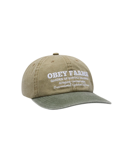 OBEY Farms Pigment Strapback Hat Pigment Khaki Multi Men's Hats Obey 