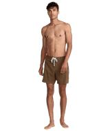 RVCA Last Days 17" Boardshorts Bombay Brown Men's Boardshorts RVCA 