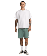 RVCA VAcancy Ghost Stripe 19" Shorts Jade Men's Walkshorts RVCA 