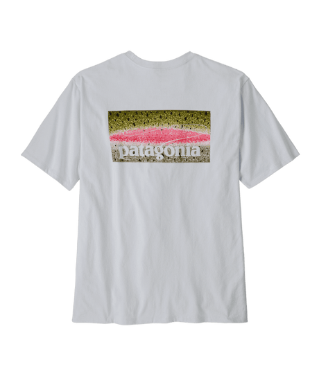 PATAGONIA Take a Stand Responsibili-Tee T-Shirt Rainbow Run/White Men's Short Sleeve T-Shirts Patagonia 